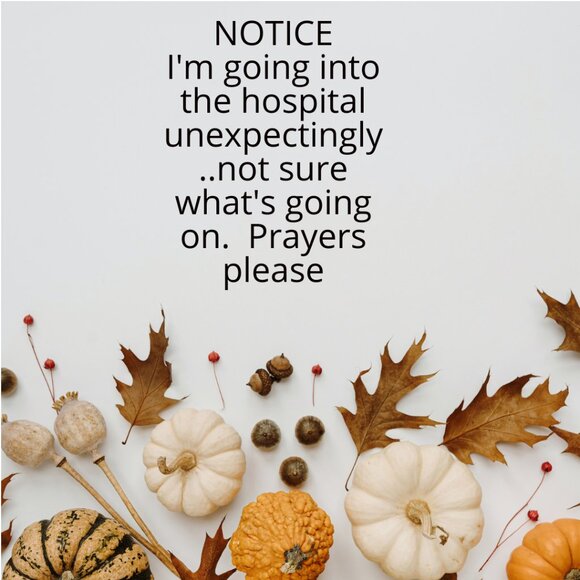 UNEXPECTED - GOING TO THE HOSPITAL 11/21/25 - Picture 1 of 1